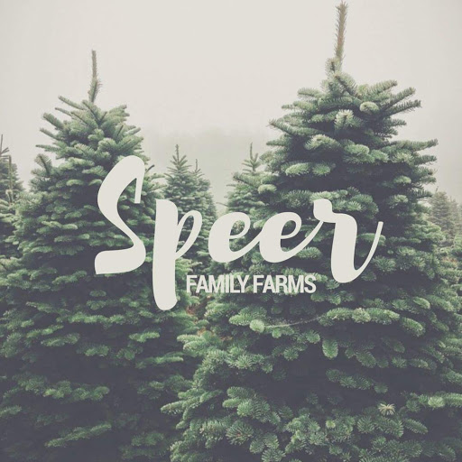 Wonderland Christmas Trees - Speer Family Farms