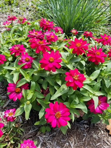 Golf Course «Lake of the Woods Golf Course», reviews and photos, 405 N Lake of the Woods Rd, Mahomet, IL 61853, USA