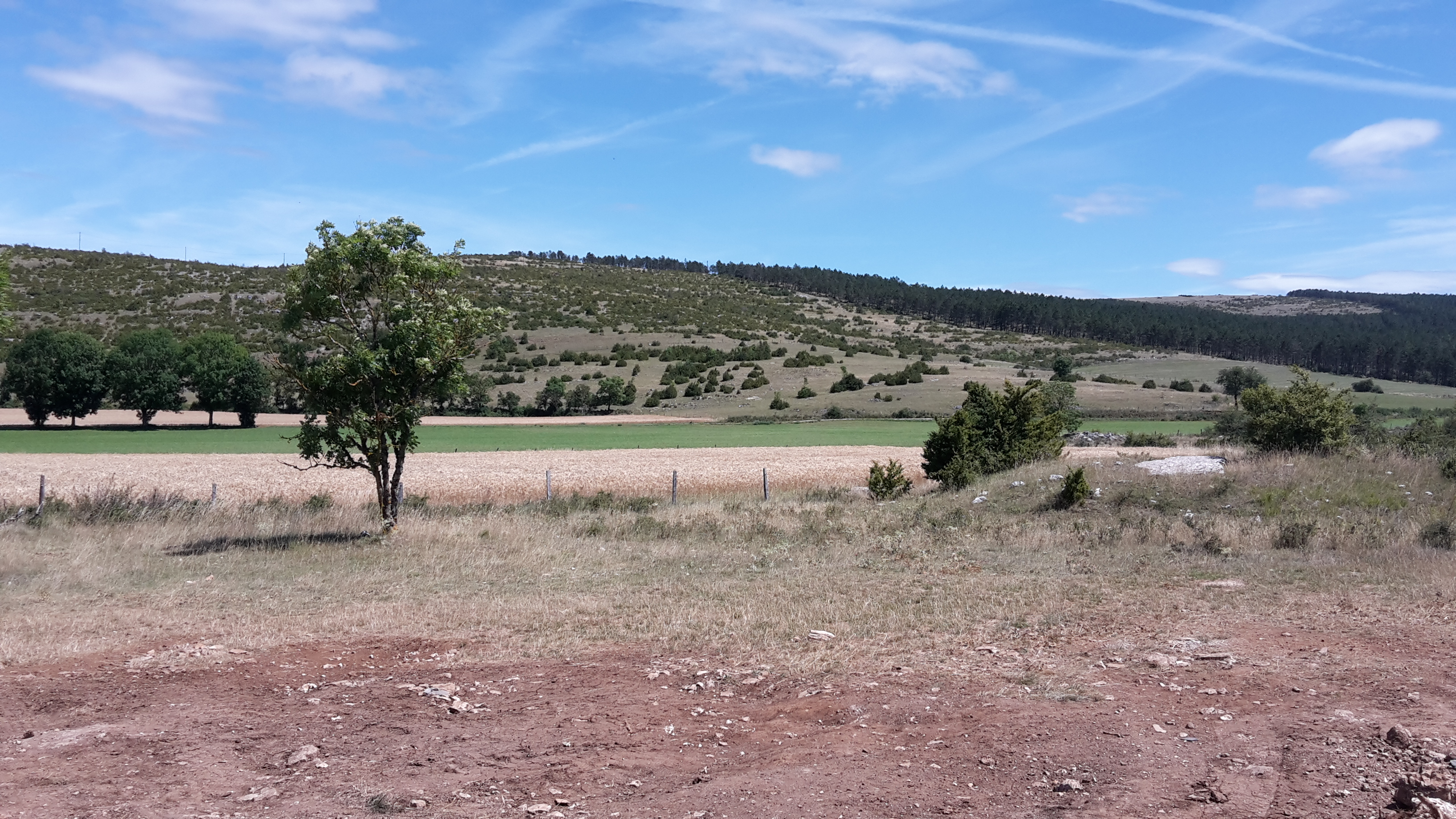Photo n° 1 de l'avis de Maxime. fait le 29/07/2017 à 06:30