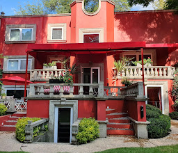 Casa Pug Seal Coyoacan photo