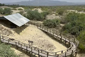 Olorgesailie Prehistoric Site image