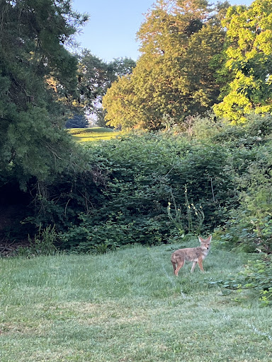 Golf Course «Rose City Golf Course», reviews and photos, 2200 NE 71st Ave, Portland, OR 97213, USA