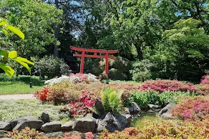 Japangarten image