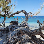 Photo n°5 de l'avis de mauro.i fait le 01/07/2019 à 14:59 sur le  Capo est à Siniscola