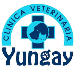 Clínica Veterinaria Yungay