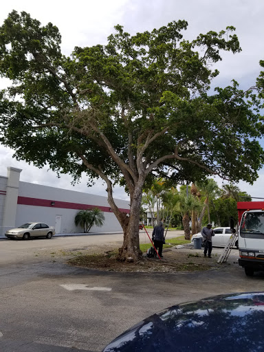 Furniture Store «Badcock Home Furniture & More», reviews and photos, 4423 Cherry Rd, West Palm Beach, FL 33409, USA