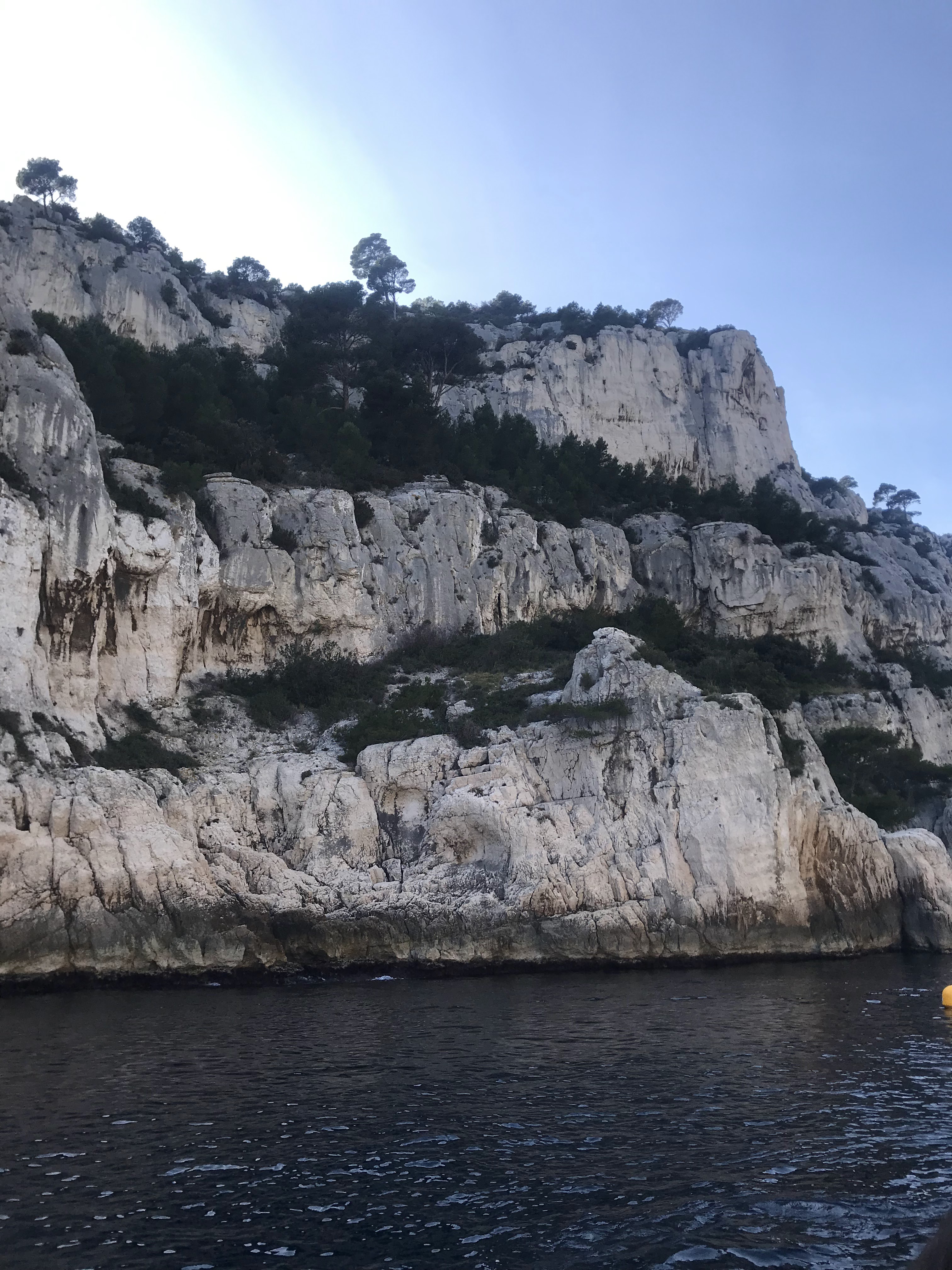 Photo n° 3 de l'avis de P.F. fait le 24/02/2019 à 09:45