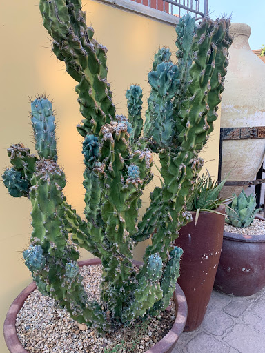 Spa «Joya Spa», reviews and photos, 4949 E Lincoln Dr, Paradise Valley, AZ 85253, USA