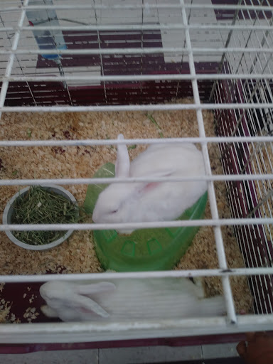 Pet Store «Salisbury Super Pet», reviews and photos, 329 Civic Ave, Salisbury, MD 21804, USA