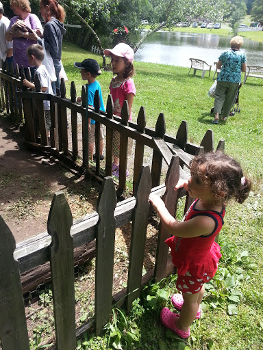 Zoo «The Petting Zoo at Breezeway Farm», reviews and photos, 161 Anawana Lake Road, Monticello, NY 12701, USA