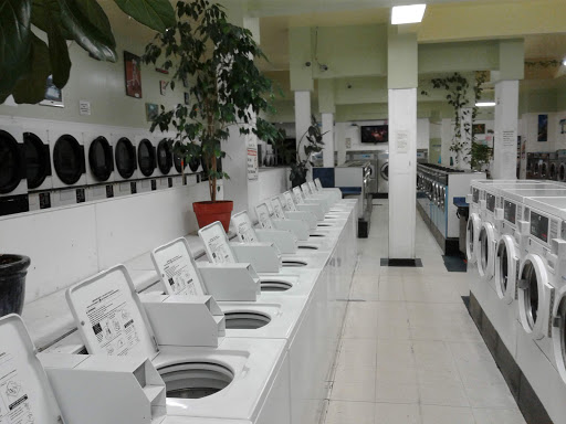 Laundromat «Washingtown Laundry», reviews and photos, 3215 Adeline St, Berkeley, CA 94703, USA