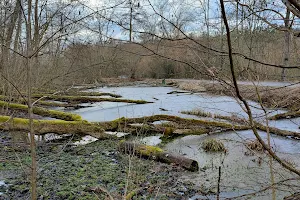 Rezerwat przyrody Bieniszew - Staw "Pustelnik". image