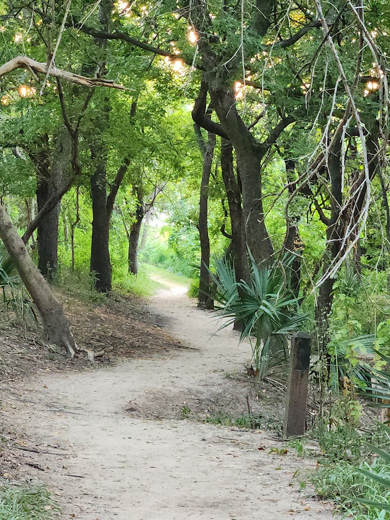 Green Tree Nature Area