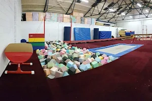Midlands Gymnastics Club image