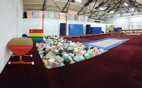 Midlands Gymnastics Club image