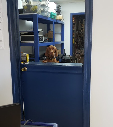 Auto Repair Shop «Bavarian Motorsport», reviews and photos, 600 W Cypress St, Kennett Square, PA 19348, USA