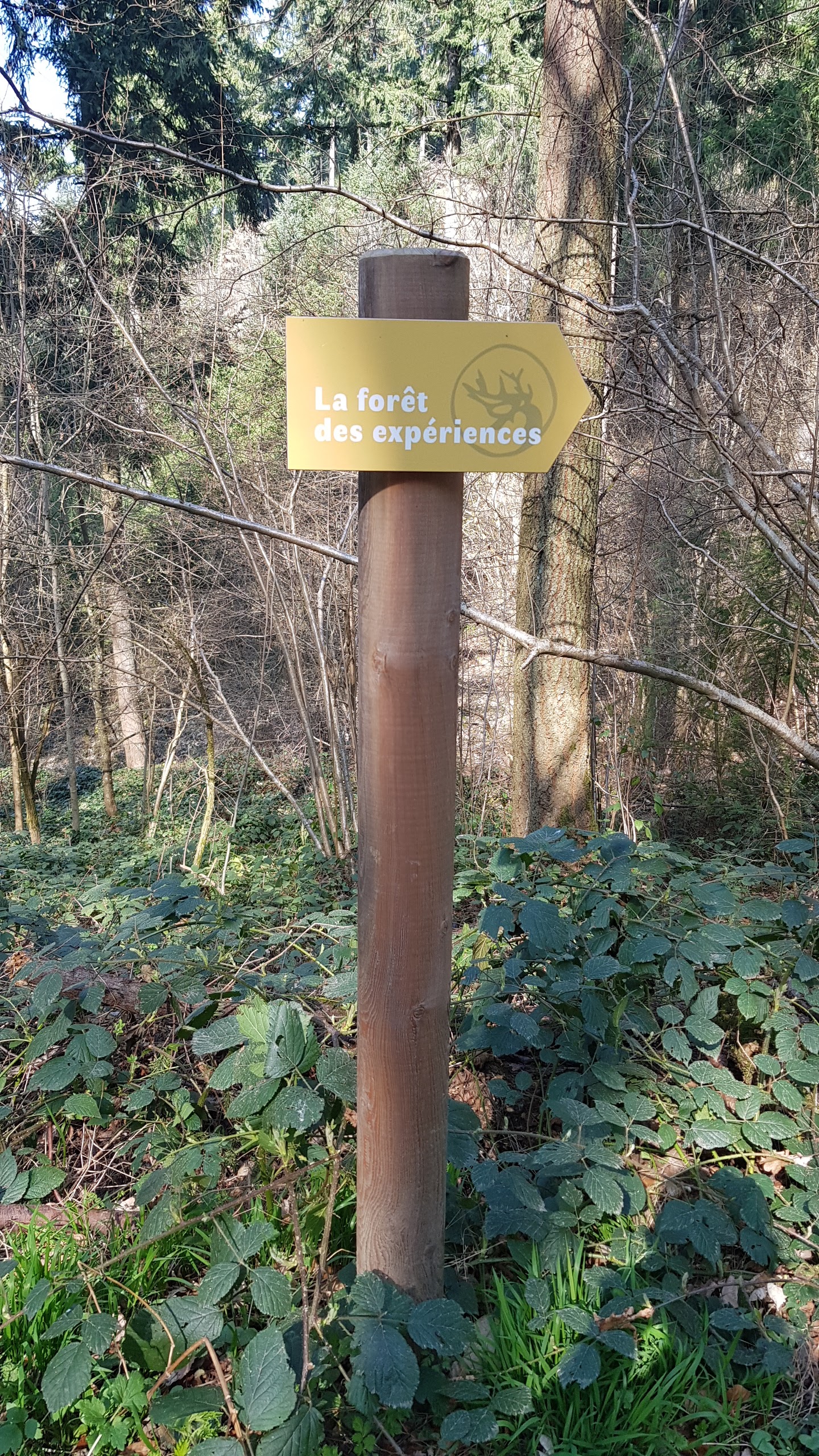 Photo n° 9 de l'avis de Nyko.a fait le 26/03/2022 à 17:25