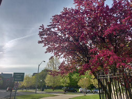Art Museum «Isabella Stewart Gardner Museum», reviews and photos, 25 Evans Way, Boston, MA 02115, USA