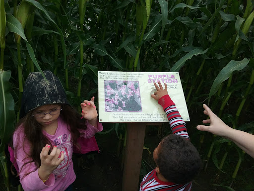 Mailing Service «FedEx Freight», reviews and photos, 750 NE Fazio Way, Portland, OR 97211, USA