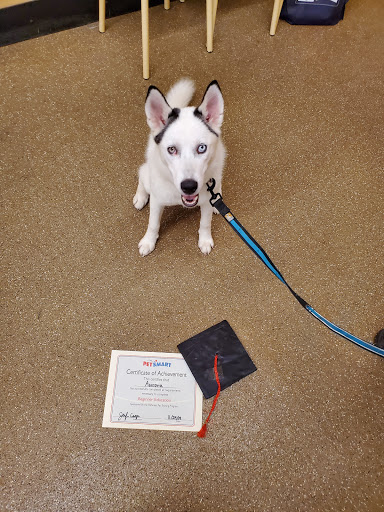 Pet Supply Store «PetSmart», reviews and photos, 4429 Pecanland Mall Dr, Monroe, LA 71203, USA