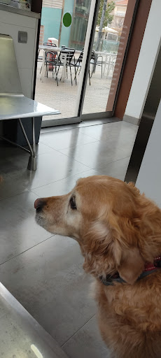 Clínica Veterinaria Progrés en Terrassa