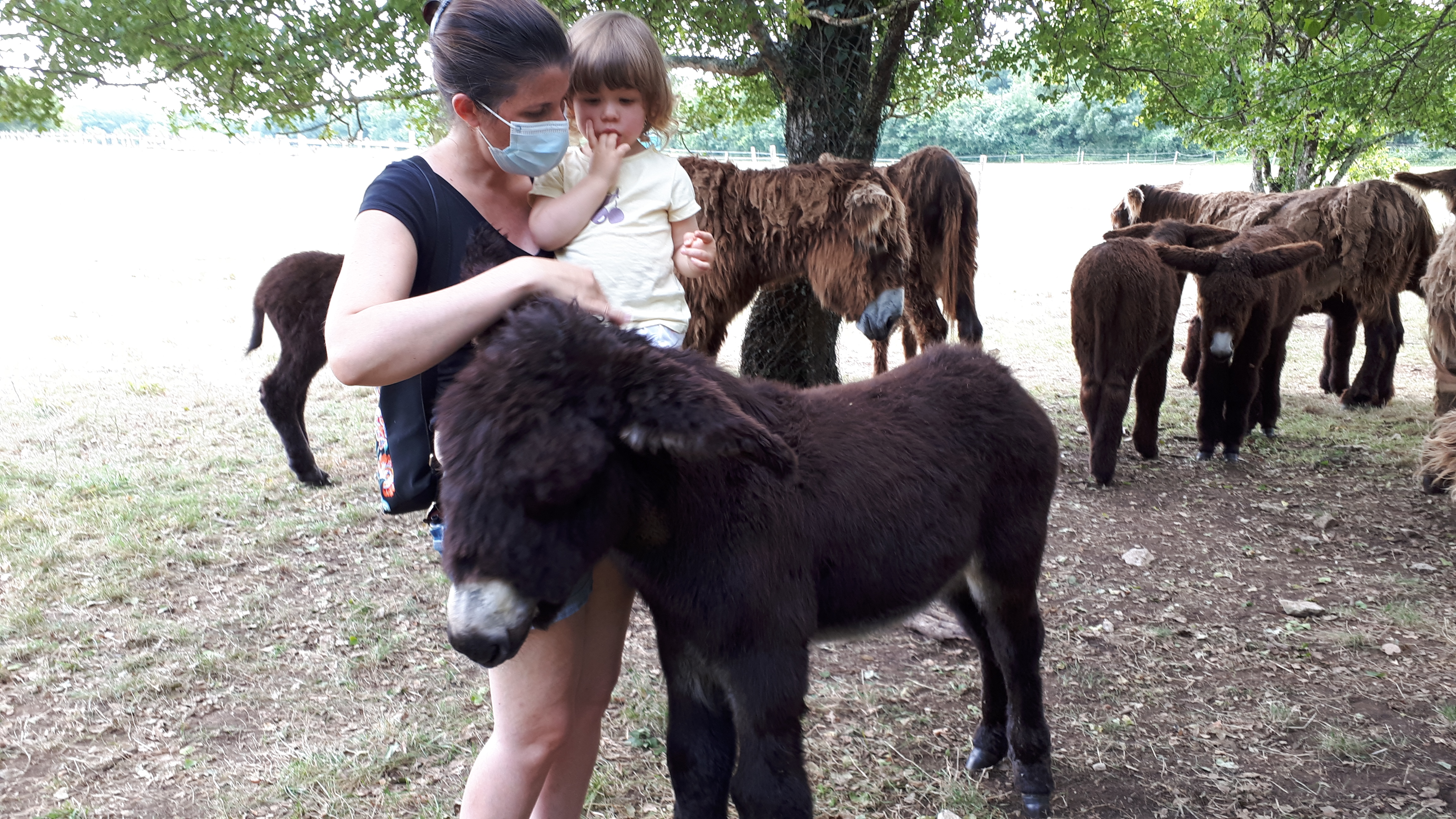 Photo n° 1 de l'avis de Joelle.a fait le 13/08/2021 à 12:48