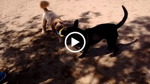 Park «Gabriel Park», reviews and photos, SW 45th Ave & Vermont Street, Portland, OR 97219, USA