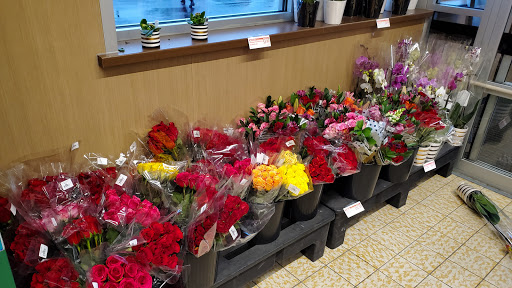 Shopping Mall «Larchmont Commons Shopping Center», reviews and photos, 3103-3117 NJ-38, Mt Laurel, NJ 08054, USA