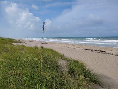 Tiger Shores Beach