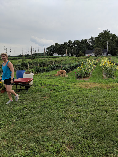 Produce Market «Hopkins Produce», reviews and photos, 3827 Rider Ln, Havre De Grace, MD 21078, USA
