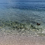 Photo n°4 de l'avis de Mauri. fait le 10/07/2021 à 13:22 sur le  Camping Park Garda à Limone Sul Garda