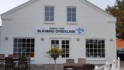 Animal Care - Blåvand Dyreklinik in Blåvand, Varde
