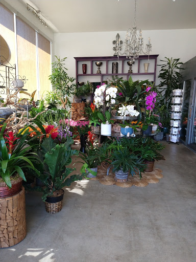 Florist «Fleur De Lis Artistry In Flowers», reviews and photos, 720 S Weymouth Ave, San Pedro, CA 90732, USA
