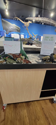 Museum «Museum», reviews and photos, 2142 Southern Dr, Statesboro, GA 30458, USA