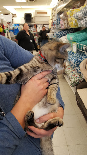 Pet Supply Store «Petco Animal Supplies», reviews and photos, 5453 N Bend Rd, Cincinnati, OH 45247, USA