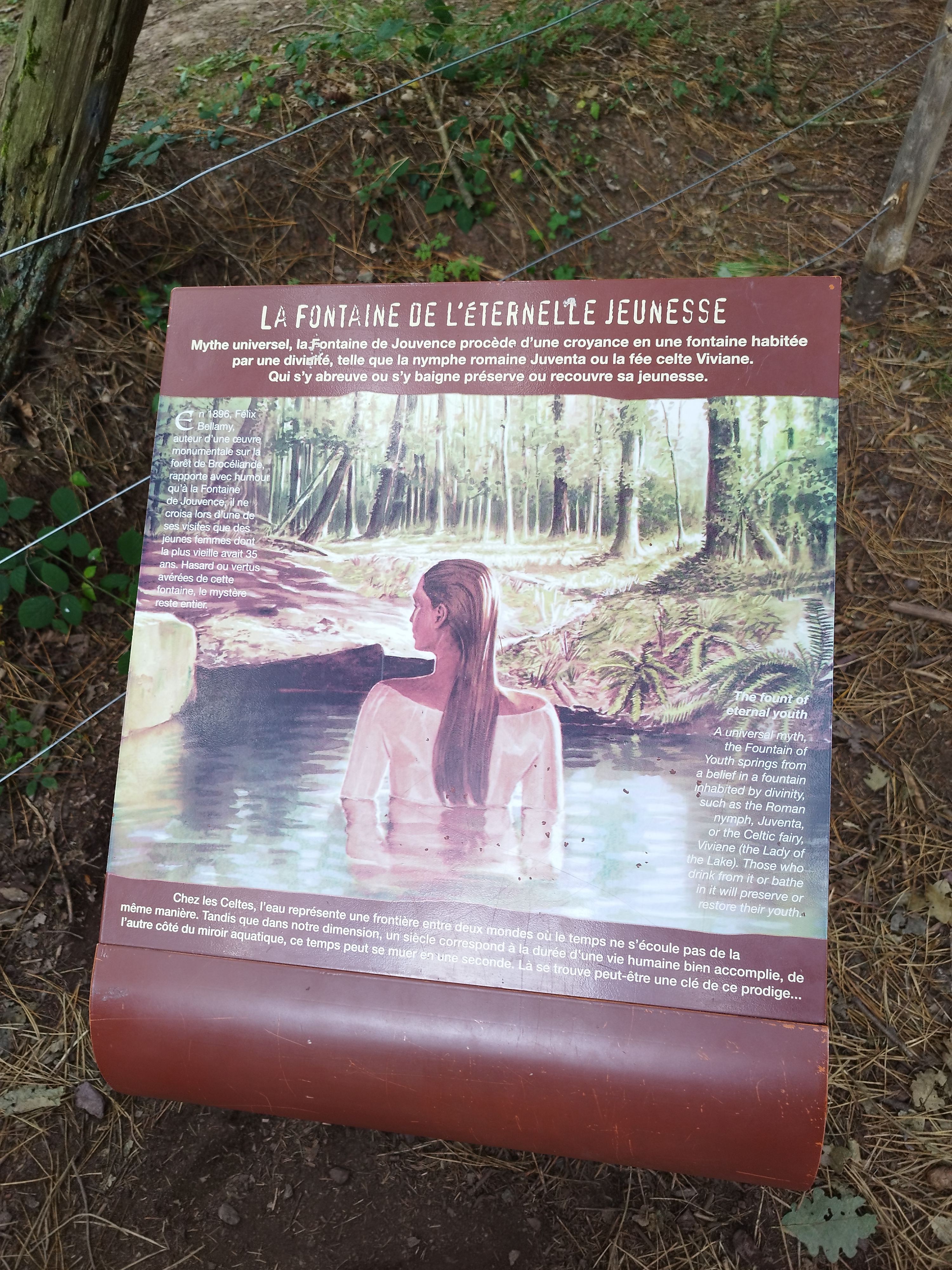 Photo n° 2 de l'avis de sandrine.r fait le 16/08/2023 à 08:24