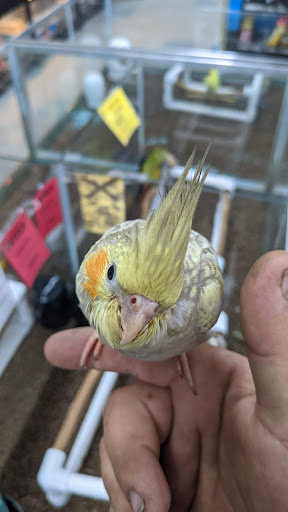 Pet Store «Leesburg Pet Center», reviews and photos, 959 N 14th St, Leesburg, FL 34748, USA