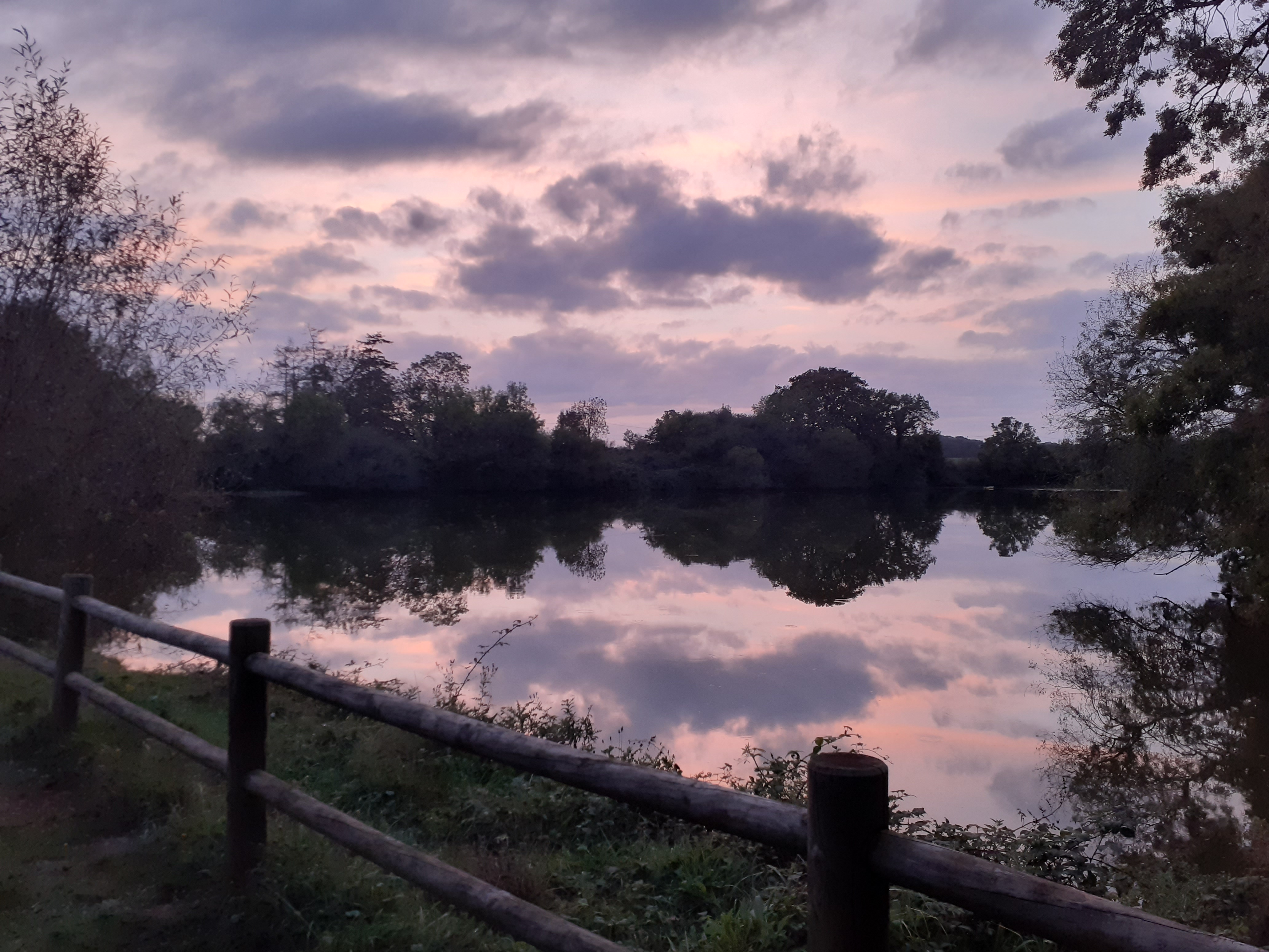 Photo n° 19 de l'avis de Laëtitia.e fait le 02/10/2023 à 06:38