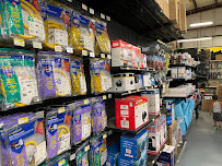 Southwest Exchange Inc - Photo 3 - Car repair in Yuma, AZ, Yuma