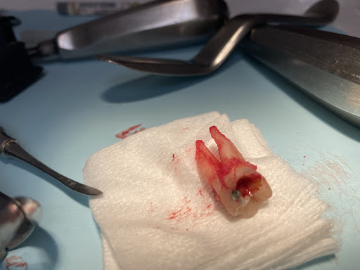 New Smile Dental image