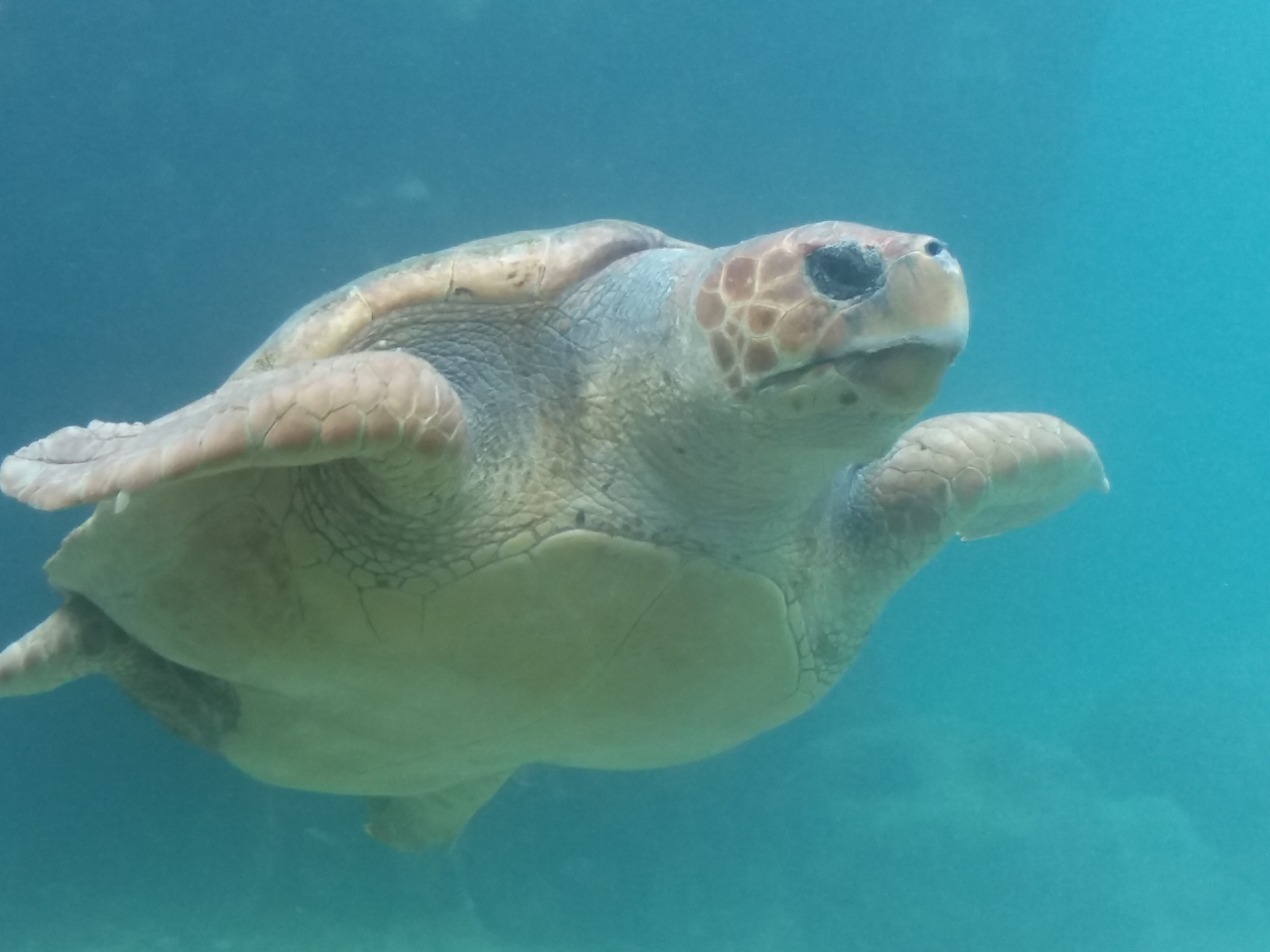 Photo n° 6 de l'avis de Christophe.e fait le 01/08/2018 à 16:06