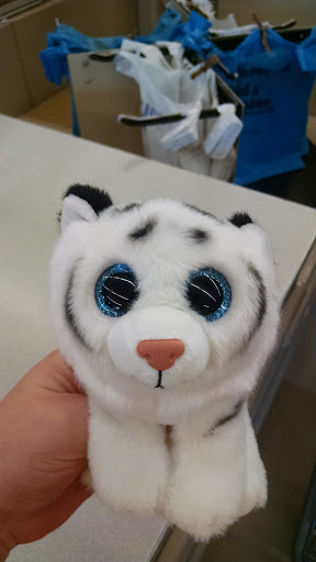 Grocery Store «Food Lion», reviews and photos, 1216 Nanticoke Rd, Salisbury, MD 21801, USA