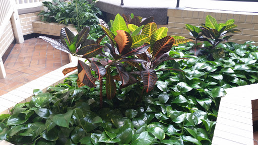 Clothing Store «Burlington», reviews and photos, 864 Chambersburg Mall, Chambersburg, PA 17202, USA