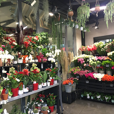 Les Fées Fleurs Argiolas Emilie à Montpellier