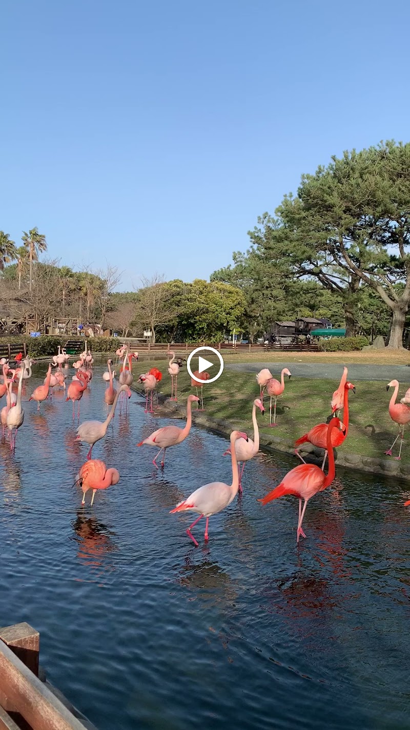 動物の森 ふれあい動物舎