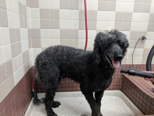 Pet Supply Store «Pet Food Express», reviews and photos, 2531 Fair Oaks Blvd, Sacramento, CA 95825, USA