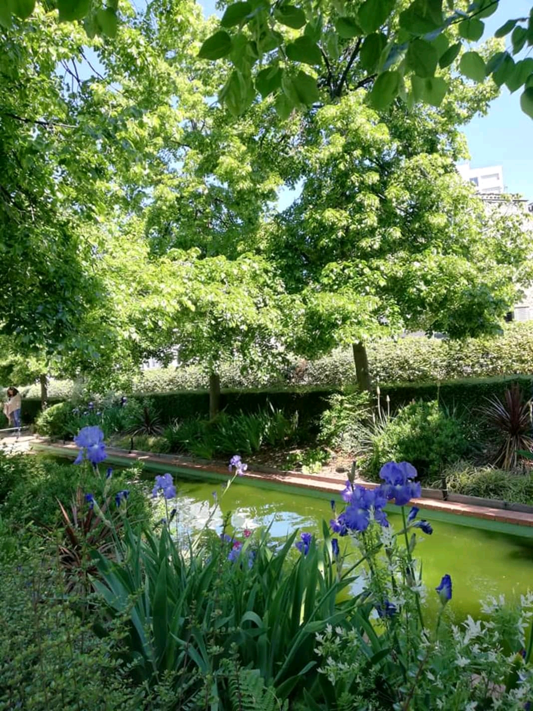 Photo n° 1 de l'avis de Thierry.a fait le 16/05/2019 à 14:22