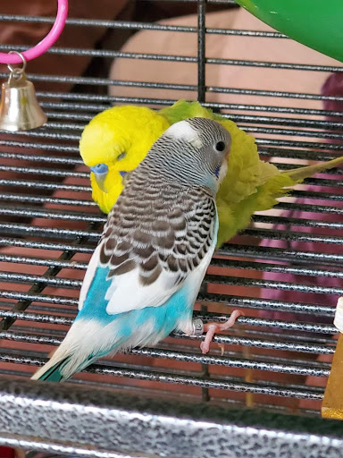 Pet Supply Store «Petco Animal Supplies», reviews and photos, 6280 S Westnedge Ave, Portage, MI 49002, USA