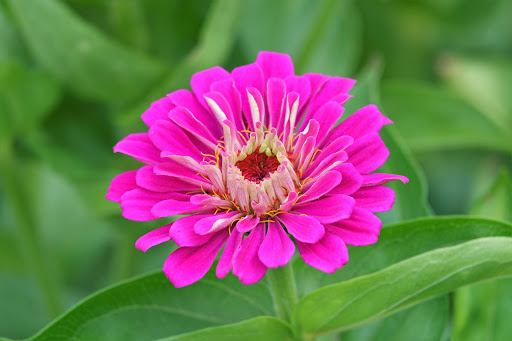 Farm «Langwater Farm», reviews and photos, 209 Washington St, North Easton, MA 02356, USA