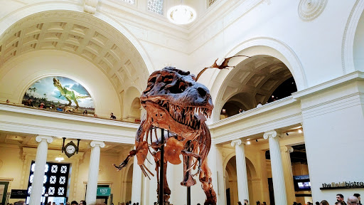Museum «The Field Museum», reviews and photos, 1400 S Lake Shore Dr, Chicago, IL 60605, USA